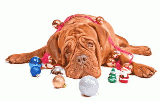 Christmas Is Over