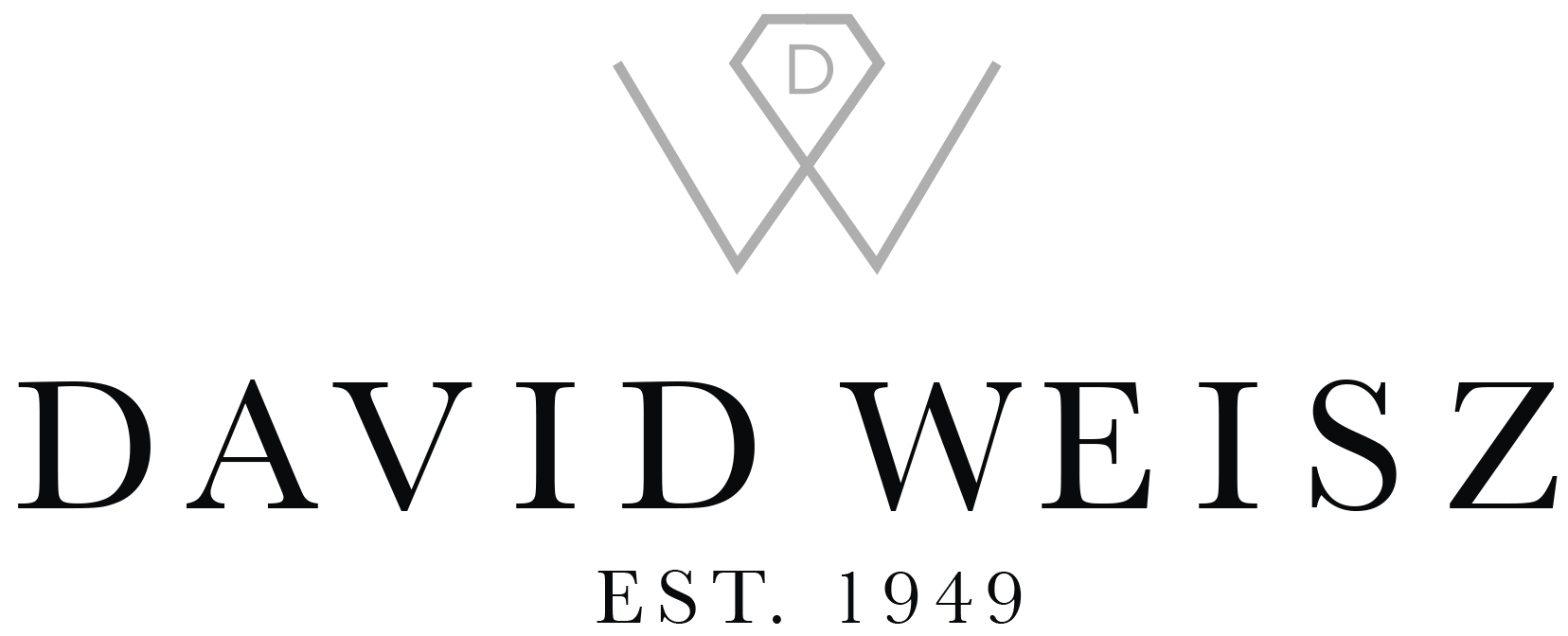 david-weisz-logo