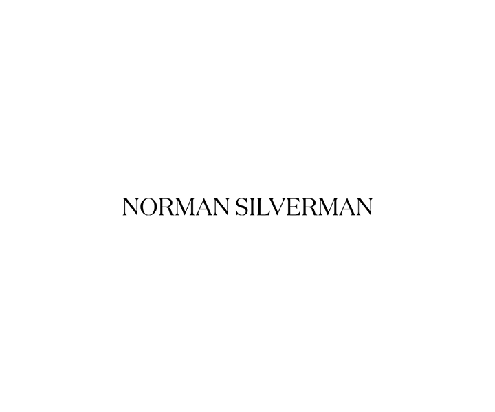 Norman Silverman Logo